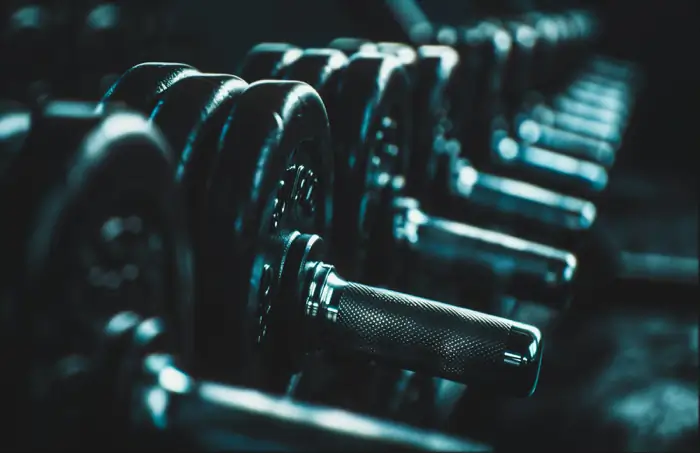 Rangée d'haltères alignés sur un rack, dans la pénombre d'une salle de musculation.